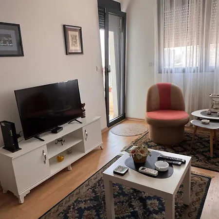 Flower And Flat Next To Centar Of