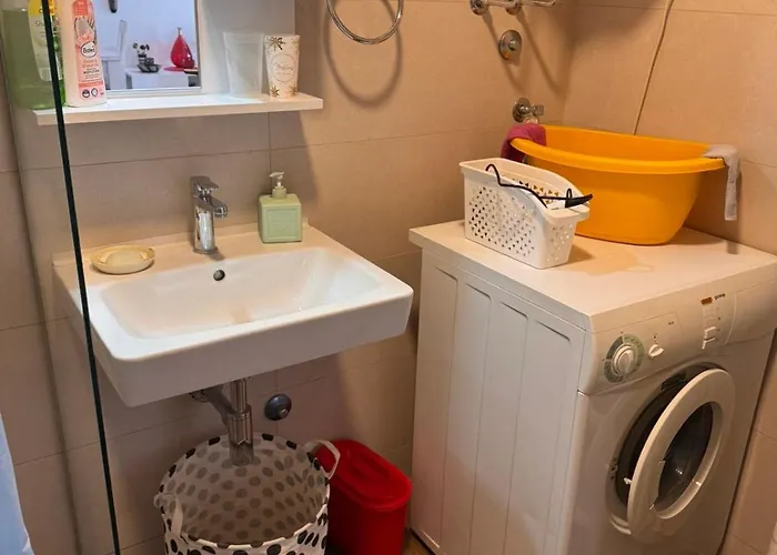 Flower And Flat Next To Centar Of Appartement *