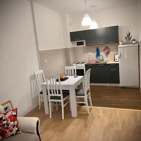Apartment Flower And Flat Next To Centar Of Podgorica
