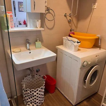 Flower And Flat Next To Centar Of Apartment *