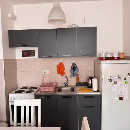 Flower And Flat Next To Centar Of *