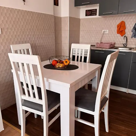 Flower And Flat Next To Centar Of * Podgorica