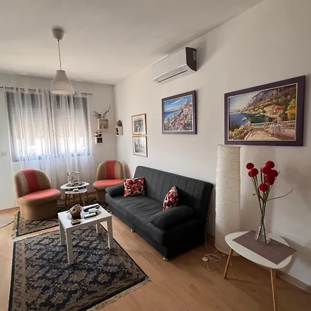 Flower And Flat Next To Centar Of Apartment